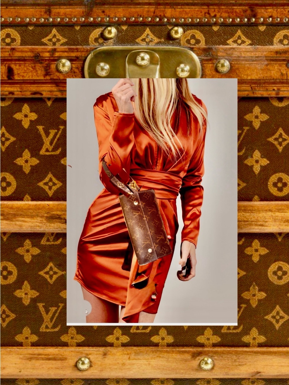 Louis Vuitton luxury for less authentic free shipping offers welcomed - Picture 7 of 15